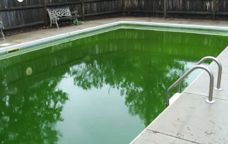 How to get rid of black algae in pool