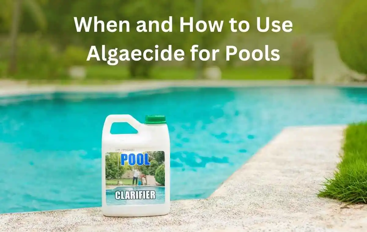 When and How to Use Algaecide for Pools